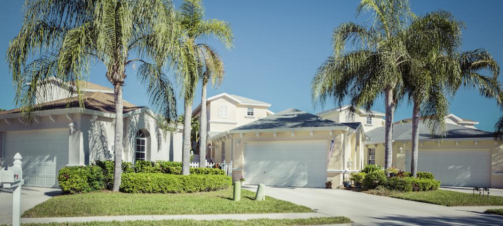 Florida home with palm trees